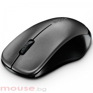 Мишка RAPOO 1620 черна