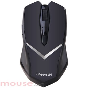 Мишка CANYON CNE-CMSW3 Wireless