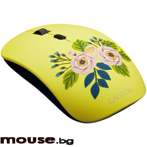 Мишка CANYON 2.4GHz wireless Optical  Mouse with 4 buttons