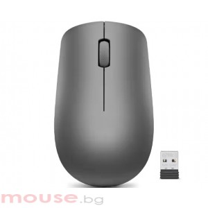 Мишка Lenovo 530 Wireless Mouse Graphite GY50Z49089