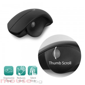 Оптична мишка Ewent EW3151, Безжична, Колело за палеца, 1600 dpi, USB, Черна