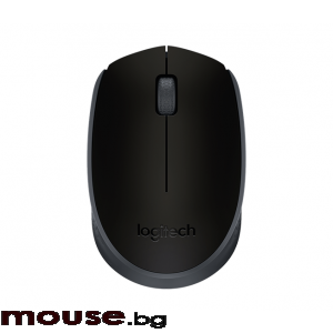 Безжична оптична мишка LOGITECH M171, Черна, USB