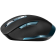 Мишка CANYON CNS-CMSW14DG Безжичен, Оптичен, Black-blue