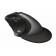 Мишка TRUST Vergo Wireless Ergonomic Comfort Mouse