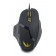 Mouse DELUX DLM-612BU (Cable, Optical 4000dpi,5 btn, USB), Black