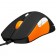 SteelSeries Rival Fnatic edition